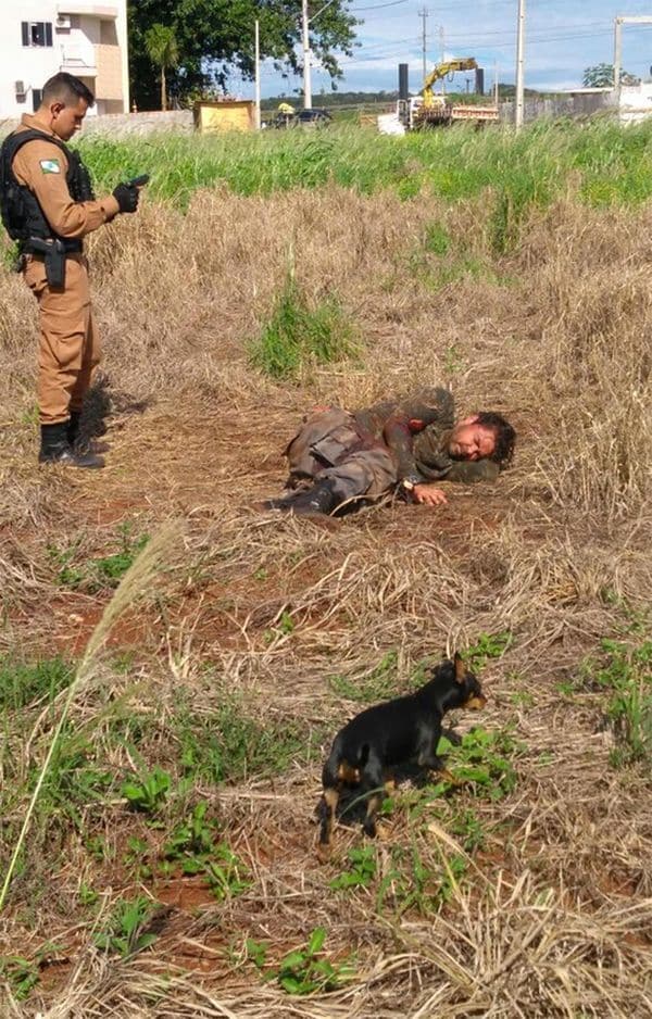 Robo millonario: tres muertos y cuatro detenidos tras un tiroteo en Brasil