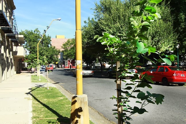 Presentan el Plan de Forestación 2017 para la ciudad