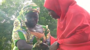 La oposición nigeriana condenó el intercambio con Boko Haram