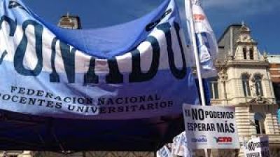 Docentes universitarios siguen de paro