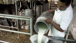 Oficializaron la creación del Programa Argentino de Calidad de Leche