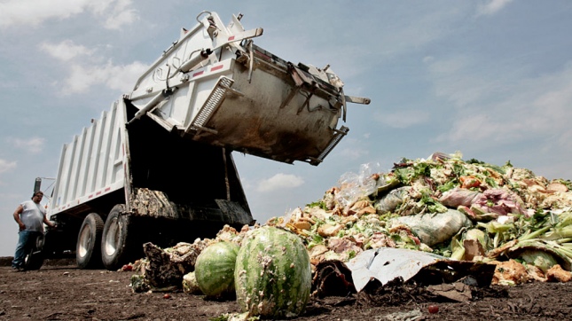 Desechos de alimentos: ¿La solución contra el hambre?