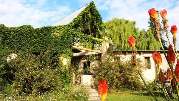 Turismo ecofriendly: las tendencias en Argentina