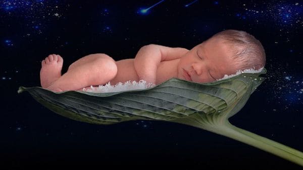 ¿Será posible concebir un bebé en el espacio?