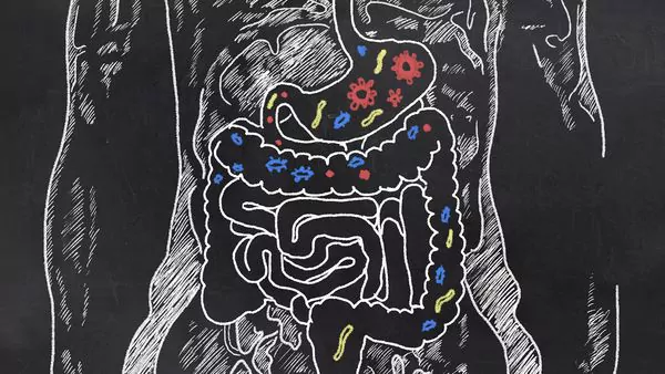 Cuáles son los mejores alimentos para una buena digestión