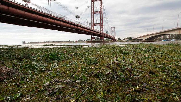 El río Paraná ya superó los 5 metros 
