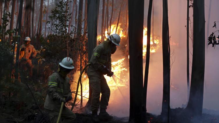 Llega a 62 el número de muertos por incendio forestal en Portugal