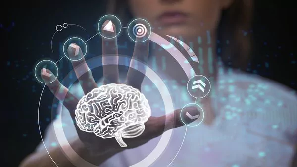 Descubren una parte del cerebro que no madura hasta los 36 años