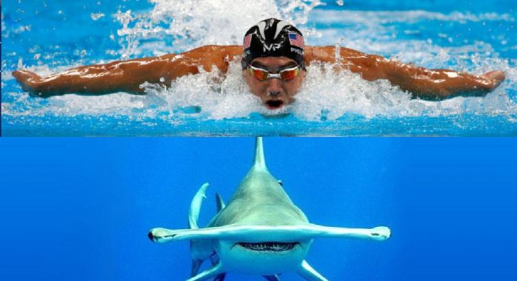 EL ARRIESGADO RETO DE MICHAEL PHELPS