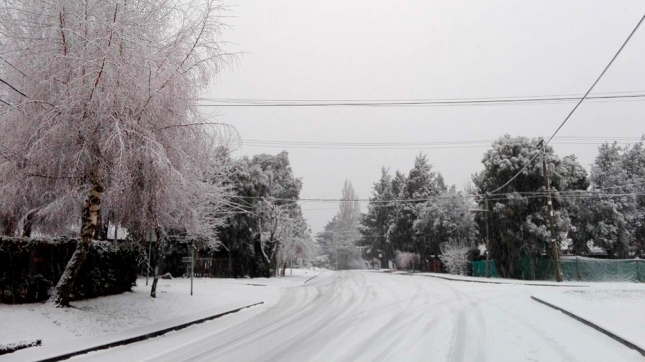 Río Negro: Operativos de asistencia a los afectados por las nevadas