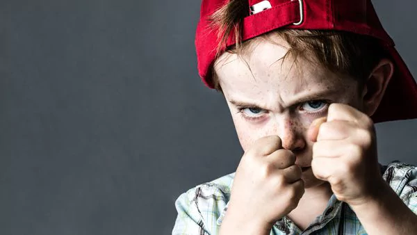 Bullying: por qué no sirve importar fórmulas exitosas del exterior