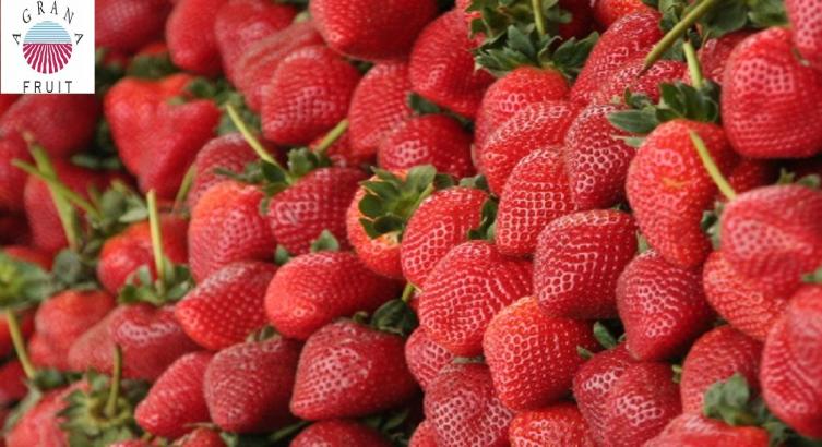 Agrana Fruit: hubo negociación con los empleados