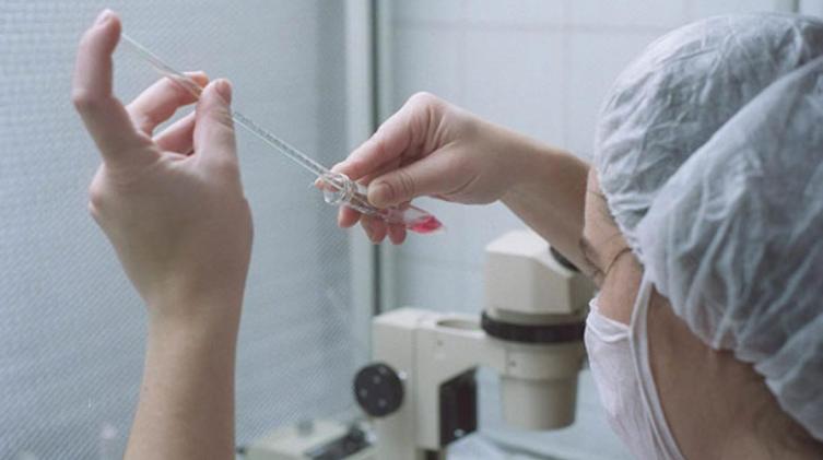 Nuevo aniversario de la adhesión a la Ley de Fertilización Asistida