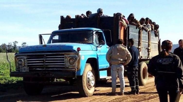 Salta: AFIP halló 94 trabajadores reducidos a servidumbre