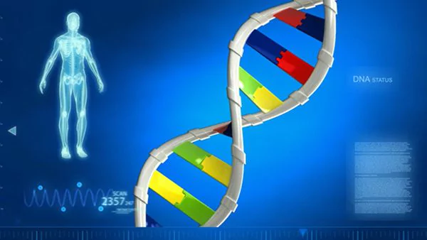 Científicos lograron modificar genes defectuosos en humanos