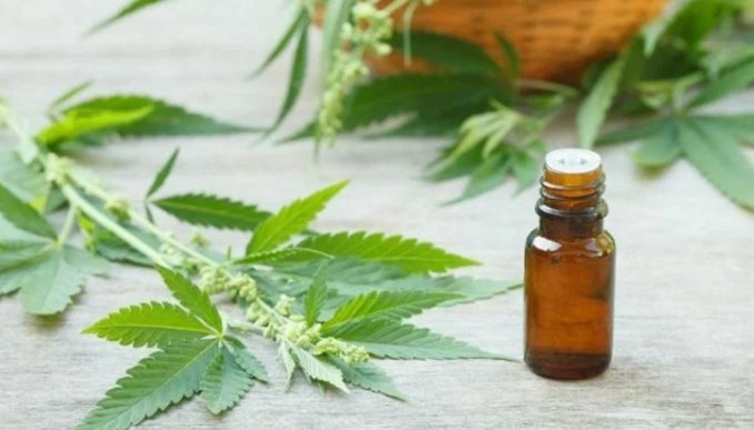Ordenan entregar marihuana a un menor con epilepsia