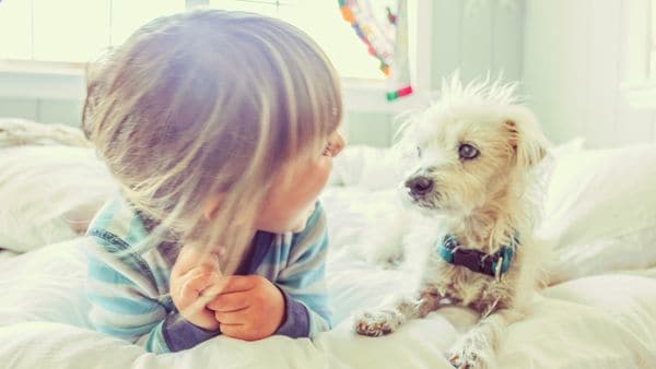 En 10 años se podrá hablar con las mascotas
