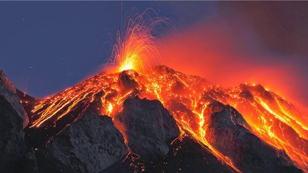 Descubrieron qué causó la mayor extinción masiva de la historia