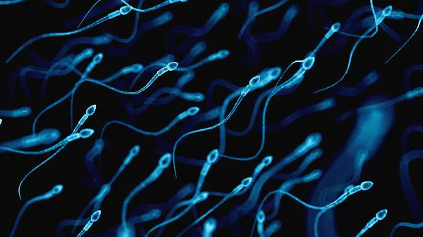 ¿El ser humano en extinción?