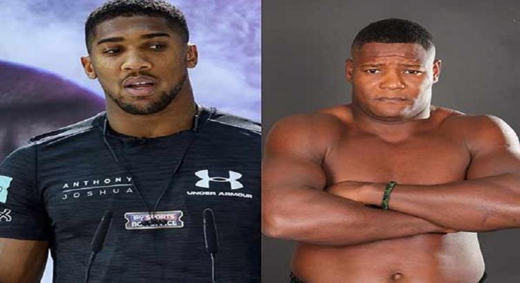 LA AMB ORDENÓ AL INGLÉS JOSHUA Y AL CUBANO ORTIZ UNA PELEA EN 30 DÍAS