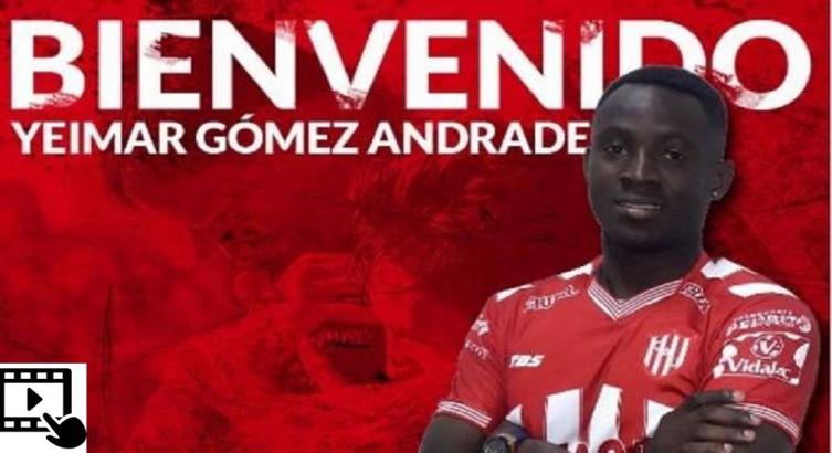 ANDRADE: 