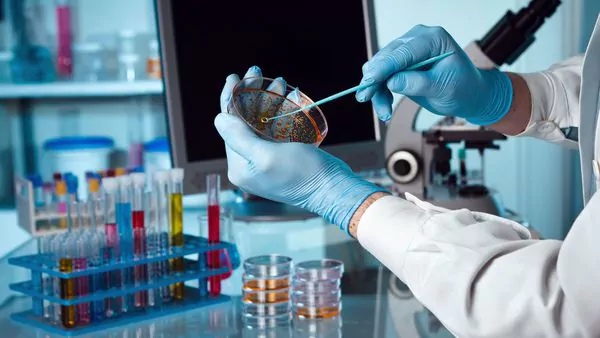 Estas 12 superbacterias representan la mayor amenaza para la salud