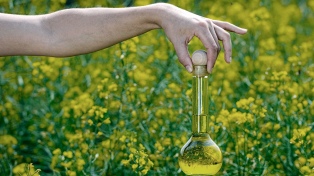 EE.UU. impuso altos aranceles a la importación de biodiésel argentino