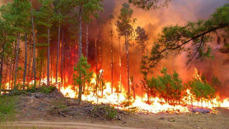 Los vientos agravaron los incendios forestales en Córdoba