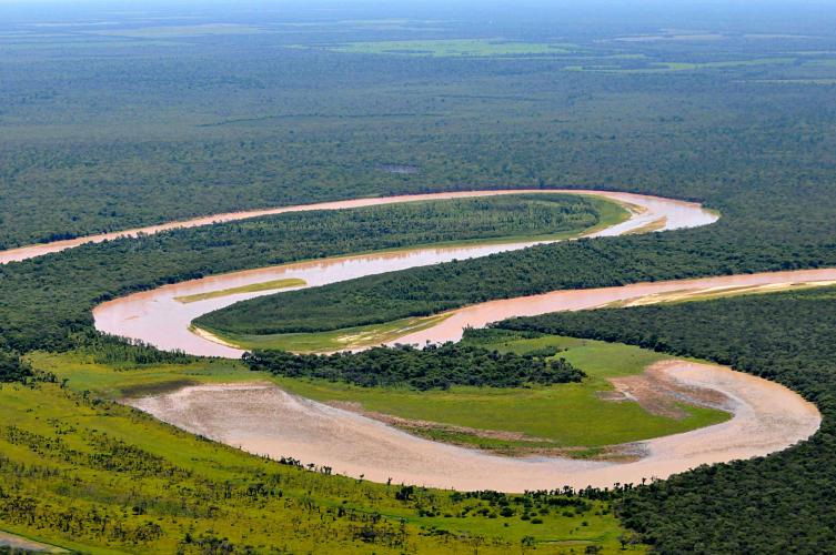 Chaco: Recuperan la flora y fauna del parque El Impenetrable