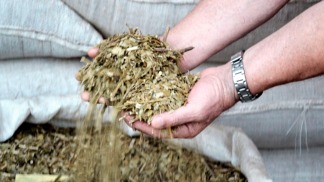 La producción de yerba mate creció 2,54% en los primeros 7 meses 