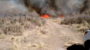 Córdoba: Fue controlado el incendio en Valle de Punilla 