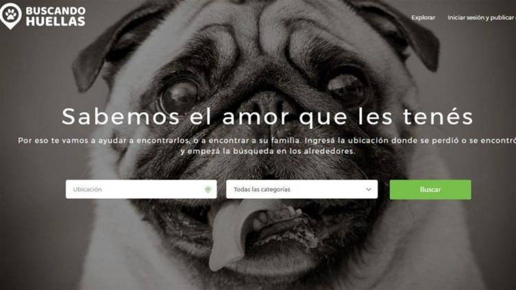 Buscando Huellas: Una web para encontrar mascotas perdidas
