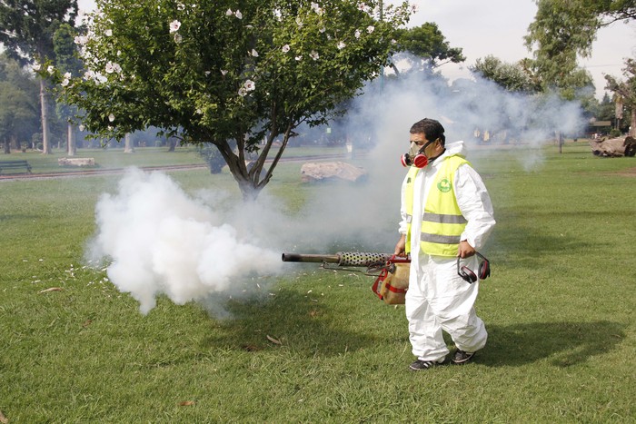 Retoman las tareas de fumigación en la ciudad