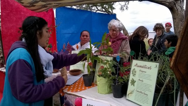 Venderán plantines para poder cumplir el sueño de viajar a Córdoba