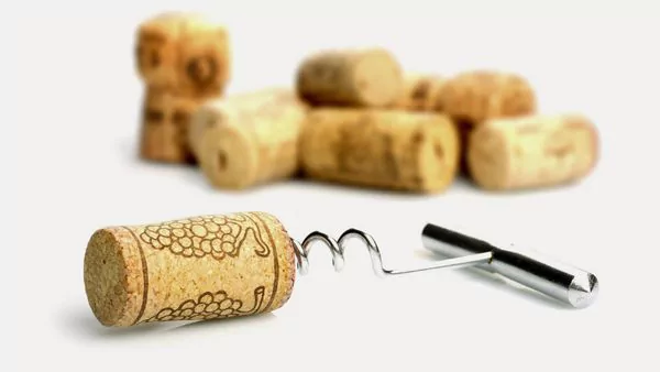 La evolución de los corchos y su importancia en los vinos
