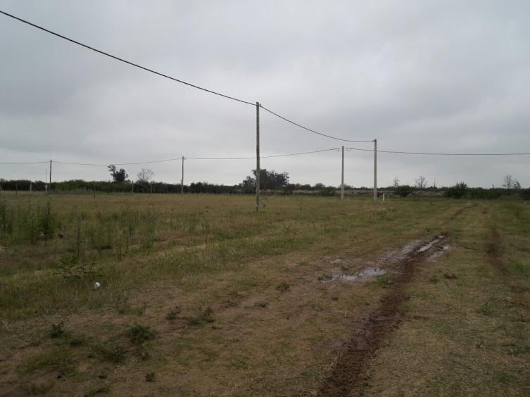 Construyó su casa en el terreno equivocado