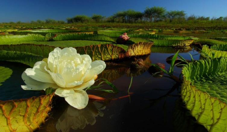 BIOFOTO, fotografiando la naturaleza
