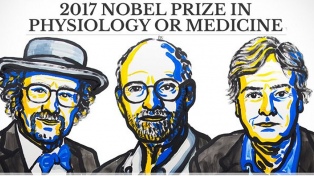 Tres estadounidenses ganan el Nobel de Medicina 