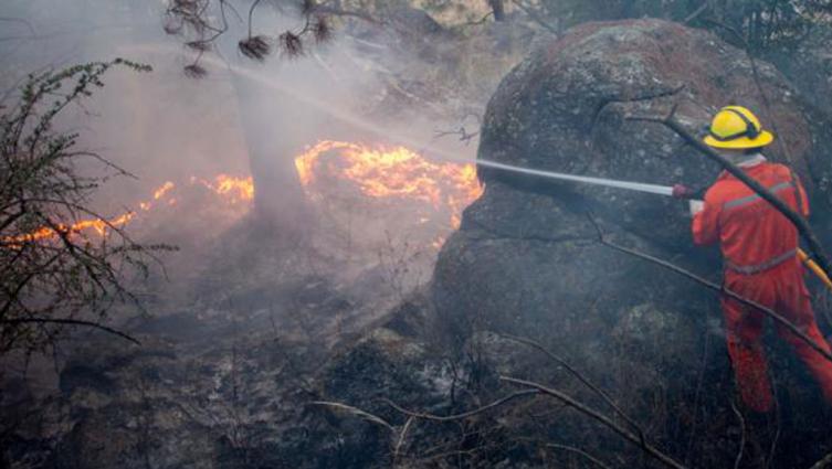 Bomberos combaten un incendio en las sierras de Córdoba