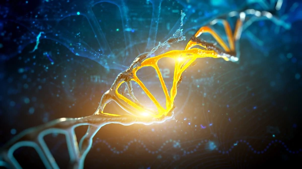Conicet: desarrollan un software para mejorar la lectura del ADN