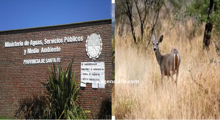  Recuerda los alcances de la resolución de caza de especies exóticas