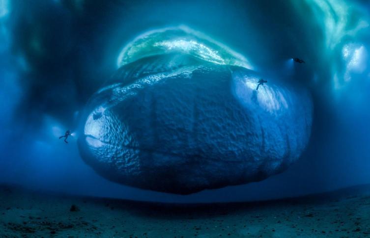15 - The Ice Monster de Laurent Ballesta, Francia.