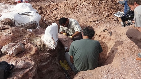 Científicos argentinos refutan una teoría sobre el origen de los dinosaurios