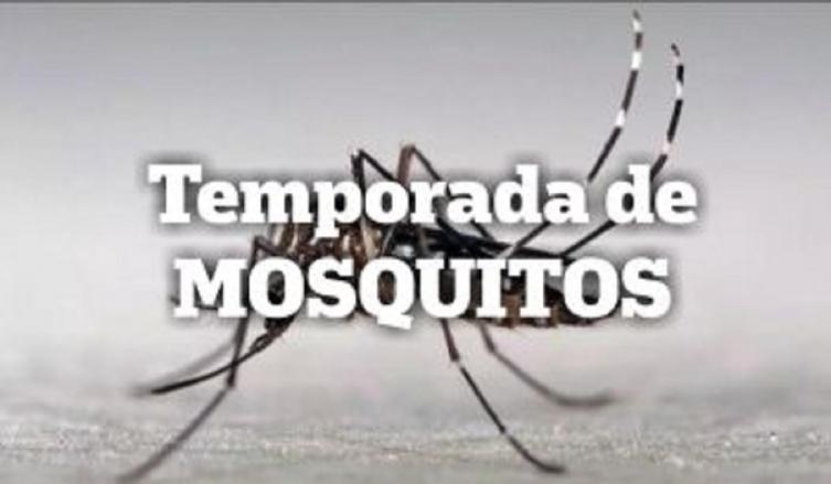 Recomendaciones para evitar las enfermedades transmitidas por los mosquitos Aedes