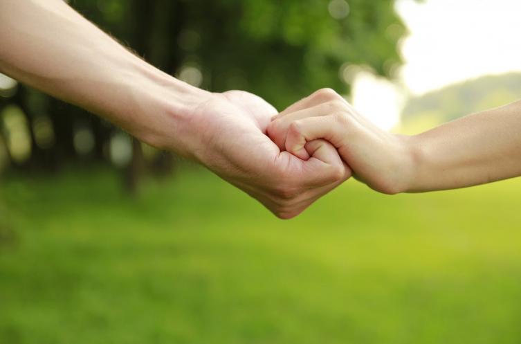 Convocan a familias solidarias 