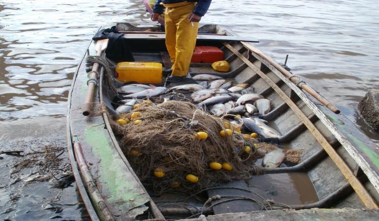 Se realizará la Audiencia Pública de Pesca en Santa Fe