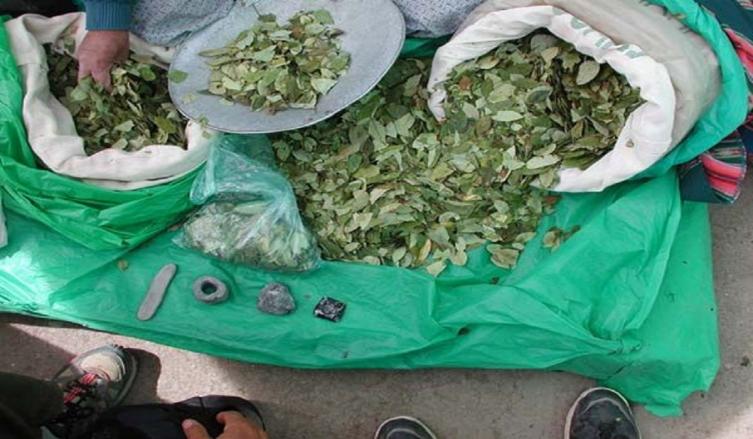 Se incautó más de 180 kilos de hojas de coca  
