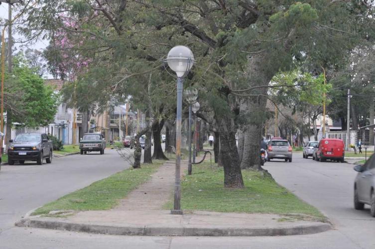Presentaron un proyecto para remodelar Avenida Galicia