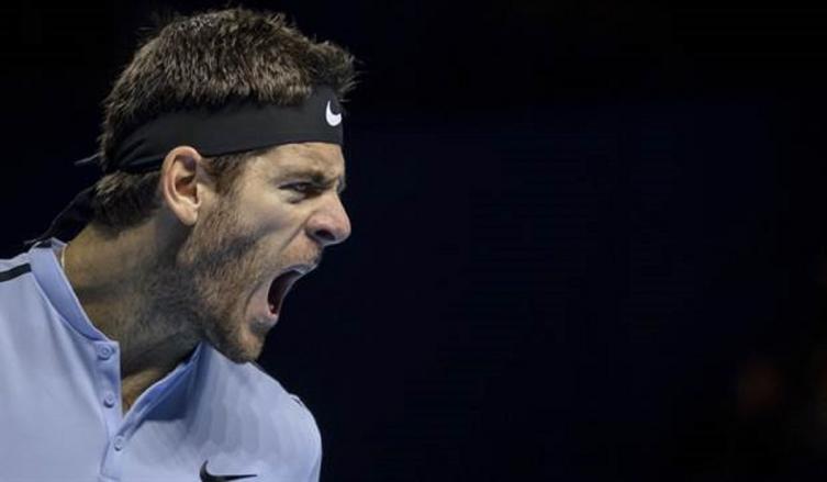 DEL POTRO Y LOS DESAFÍOS QUE LE ESPERAN EN 2018