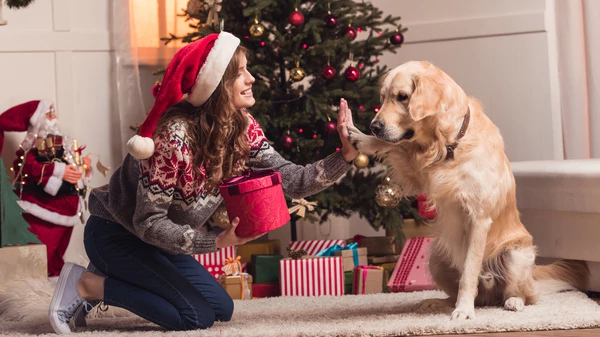 Navidad a solas: ¿se puede disfrutar de las fiestas en soledad, sin familia y sin amigos?